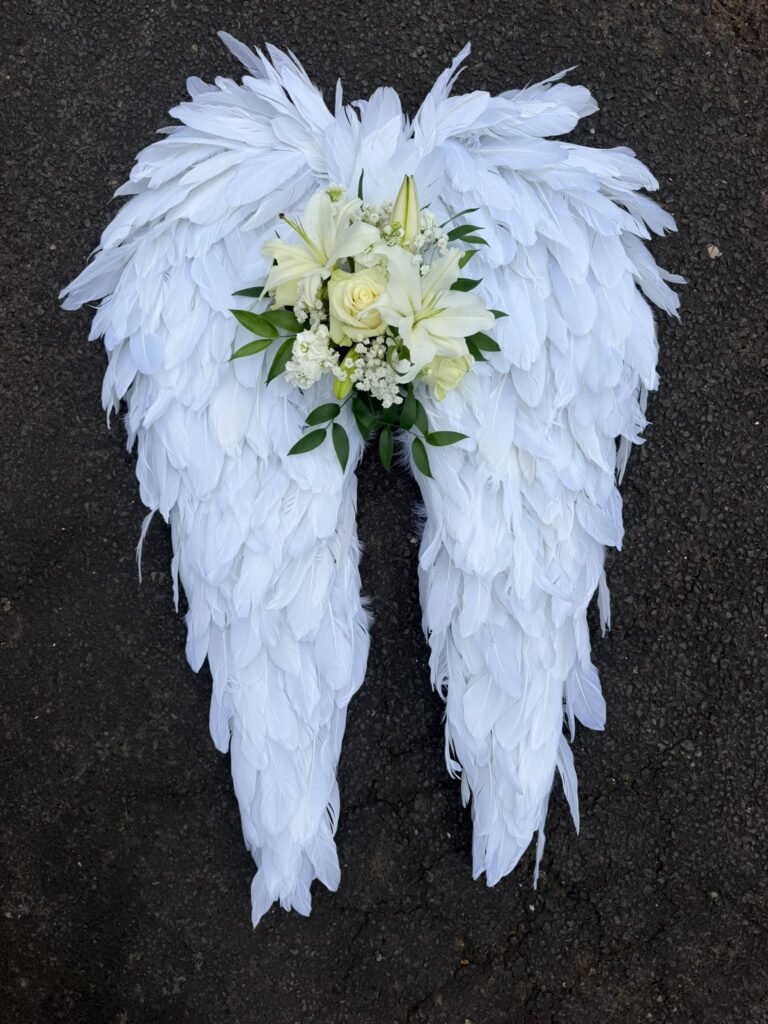 Angel Wings - Feathers — Flowers by Kerry Mac