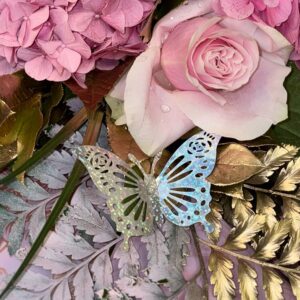 Butterflies